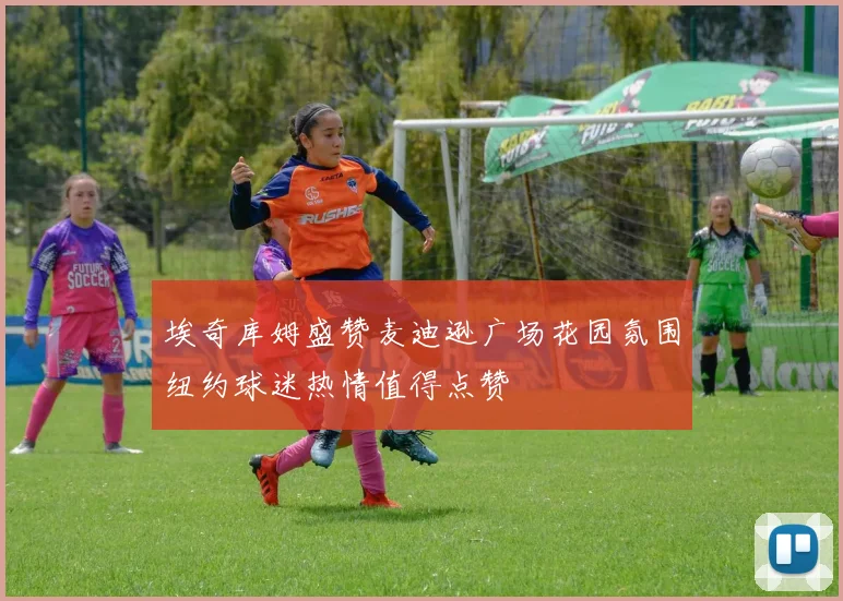 埃奇库姆盛赞麦迪逊广场花园氛围纽约球迷热情值得点赞