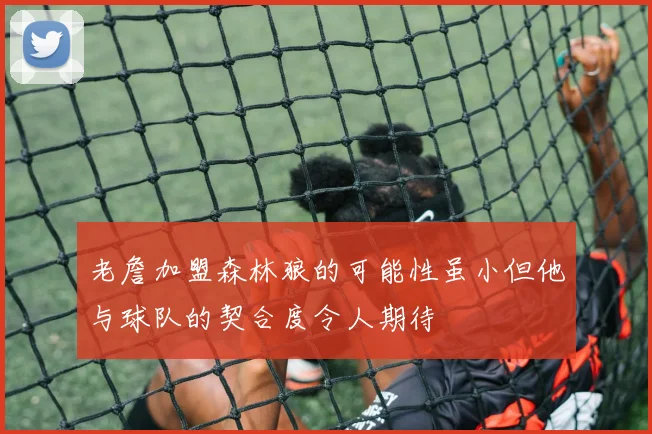 老詹加盟森林狼的可能性虽小但他与球队的契合度令人期待